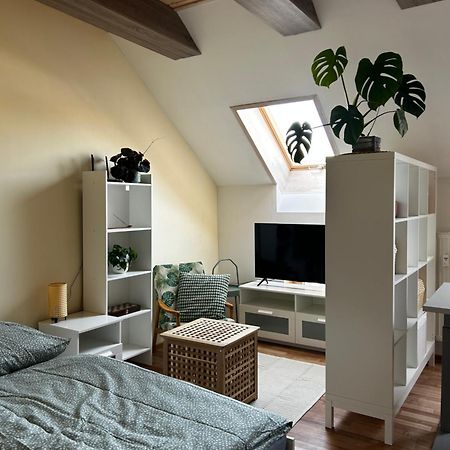Utulny Apartman V Centre Kezmarku Kežmarok エクステリア 写真