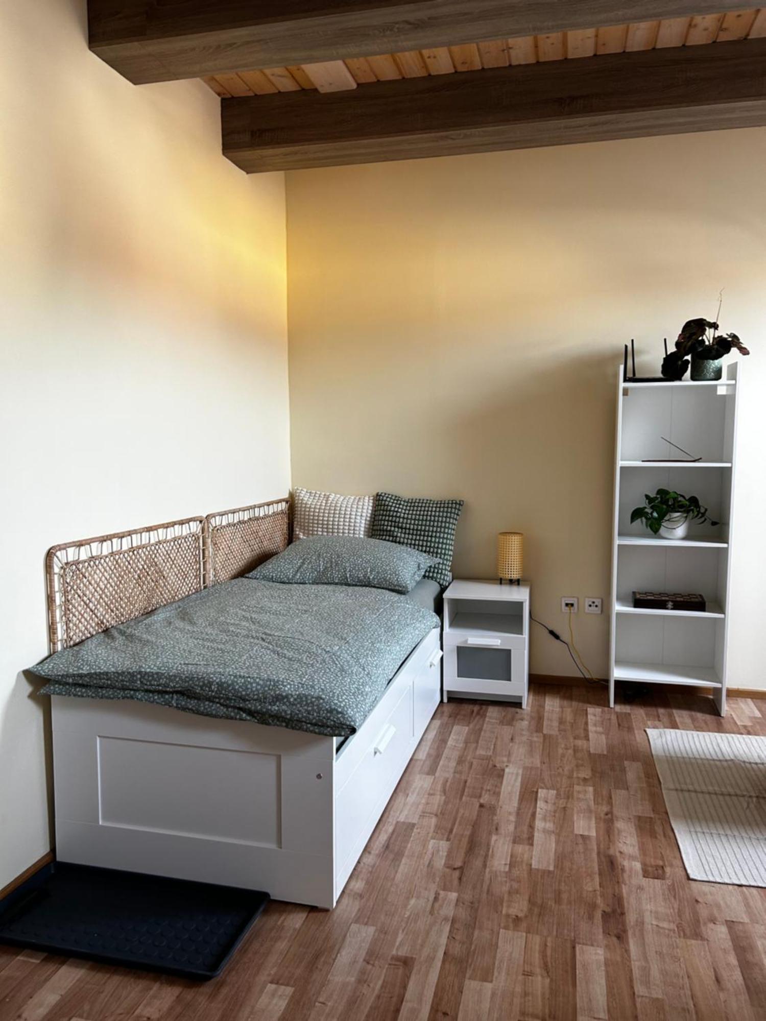 Utulny Apartman V Centre Kezmarku Kežmarok エクステリア 写真